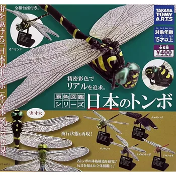 Оригинален TAKARA ТОМИ Gashapon Голяма Биологична Карта на Симулация Модел на Насекомото Фигурка на Конче Играчки Подарък Украшение Колекция
